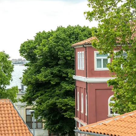 Orgulje Apartment